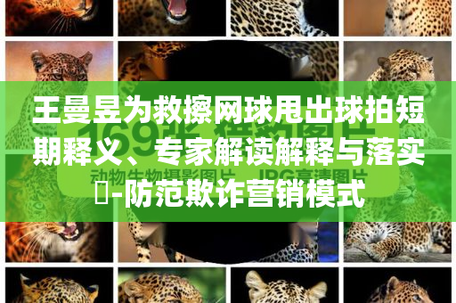 王曼昱為救擦網(wǎng)球甩出球拍短期釋義、專家解讀解釋與落實(shí)?-防范欺詐營(yíng)銷模式