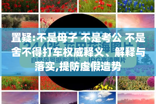 置疑:不是母子 不是考公 不是舍不得打車權威釋義、解釋與落實,提防虛假造勢