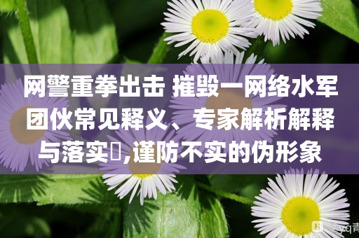 網(wǎng)警重拳出擊 摧毀一網(wǎng)絡(luò)水軍團伙常見釋義、專家解析解釋與落實?,謹防不實的偽形象