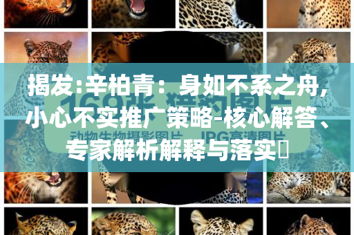 揭發(fā):辛柏青：身如不系之舟,小心不實推廣策略-核心解答、專家解析解釋與落實?