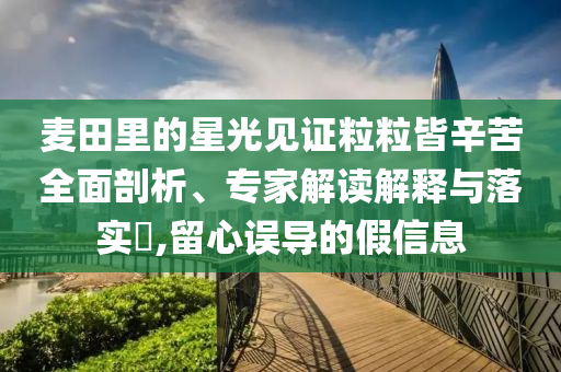 麥田里的星光見證粒粒皆辛苦全面剖析、專家解讀解釋與落實(shí)?,留心誤導(dǎo)的假信息