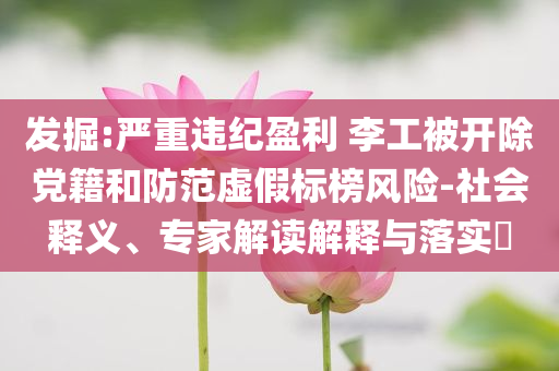 發(fā)掘:嚴重違紀盈利 李工被開除黨籍和防范虛假標榜風險-社會釋義、專家解讀解釋與落實?