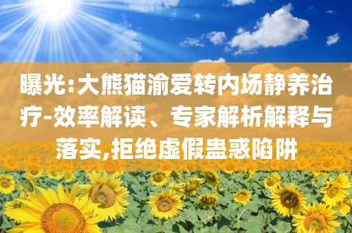 曝光:大熊貓渝愛(ài)轉(zhuǎn)內(nèi)場(chǎng)靜養(yǎng)治療-效率解讀、專家解析解釋與落實(shí),拒絕虛假蠱惑陷阱