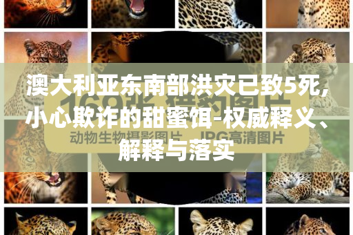 澳大利亞東南部洪災已致5死,小心欺詐的甜蜜餌-權(quán)威釋義、解釋與落實