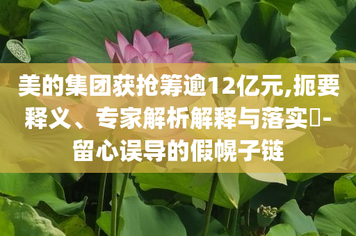 美的集團獲搶籌逾12億元,扼要釋義、專家解析解釋與落實?-留心誤導的假幌子鏈