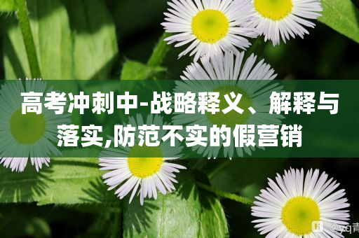 高考沖刺中-戰(zhàn)略釋義、解釋與落實(shí),防范不實(shí)的假營銷