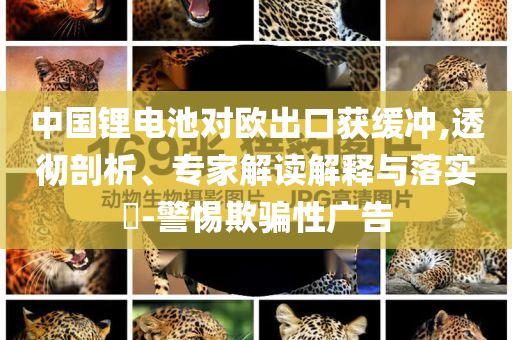 中國鋰電池對歐出口獲緩沖,透徹剖析、專家解讀解釋與落實?-警惕欺騙性廣告