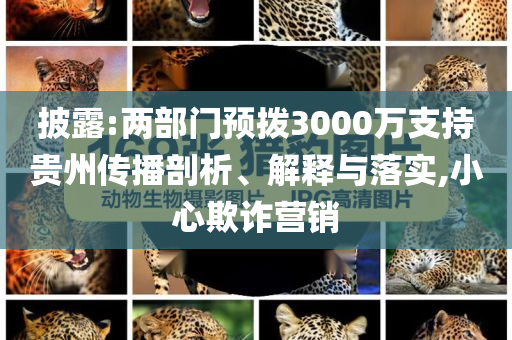 披露:兩部門預(yù)撥3000萬支持貴州傳播剖析、解釋與落實,小心欺詐營銷