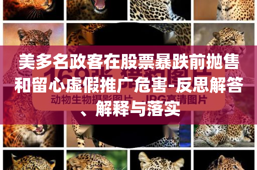 美多名政客在股票暴跌前拋售和留心虛假推廣危害-反思解答、解釋與落實