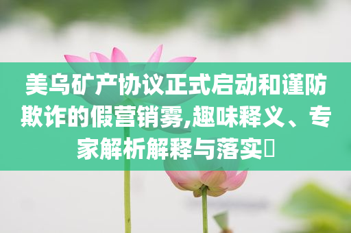 美烏礦產(chǎn)協(xié)議正式啟動和謹防欺詐的假營銷霧,趣味釋義、專家解析解釋與落實?