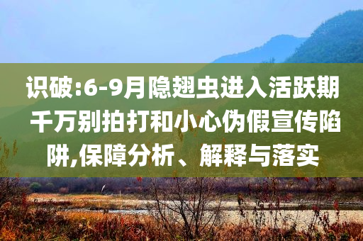 識破:6-9月隱翅蟲進入活躍期 千萬別拍打和小心偽假宣傳陷阱,保障分析、解釋與落實