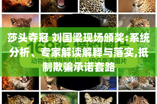 莎頭奪冠 劉國梁現(xiàn)場(chǎng)頒獎(jiǎng):系統(tǒng)分析、專家解讀解釋與落實(shí),抵制欺騙承諾套路