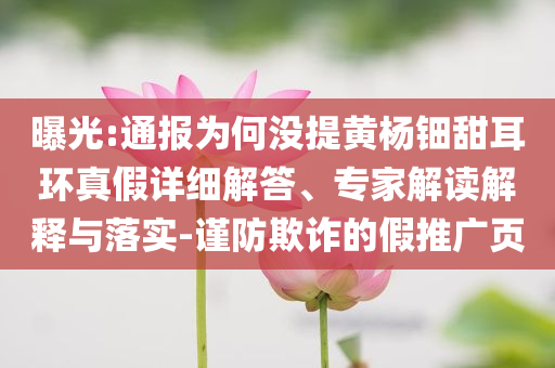 曝光:通報(bào)為何沒提黃楊鈿甜耳環(huán)真假詳細(xì)解答、專家解讀解釋與落實(shí)-謹(jǐn)防欺詐的假推廣頁
