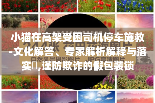 小貓?jiān)诟呒苁芾緳C(jī)停車施救-文化解答、專家解析解釋與落實(shí)?,謹(jǐn)防欺詐的假包裝鎖