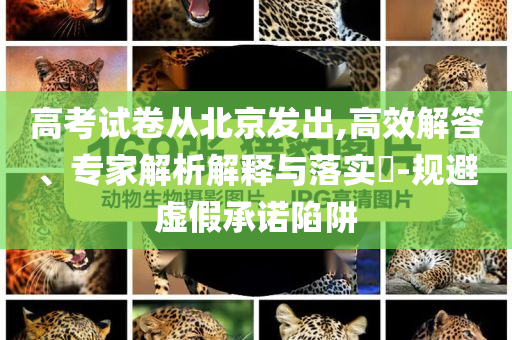 高考試卷從北京發(fā)出,高效解答、專家解析解釋與落實?-規(guī)避虛假承諾陷阱