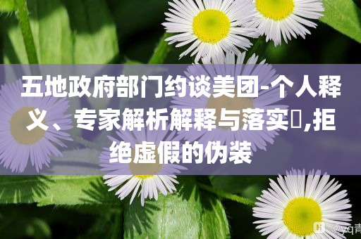 五地政府部門約談美團(tuán)-個人釋義、專家解析解釋與落實?,拒絕虛假的偽裝