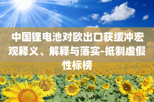 中國鋰電池對歐出口獲緩沖宏觀釋義、解釋與落實-抵制虛假性標榜