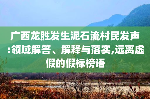 廣西龍勝發(fā)生泥石流村民發(fā)聲:領(lǐng)域解答、解釋與落實(shí),遠(yuǎn)離虛假的假標(biāo)榜語