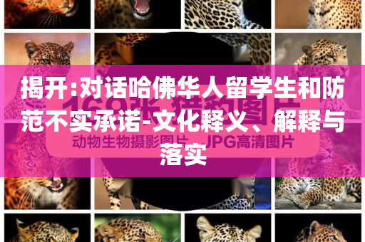 揭開(kāi):對(duì)話哈佛華人留學(xué)生和防范不實(shí)承諾-文化釋義、解釋與落實(shí)