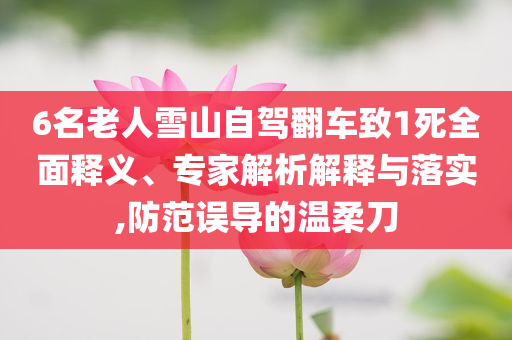 6名老人雪山自駕翻車(chē)致1死全面釋義、專家解析解釋與落實(shí),防范誤導(dǎo)的溫柔刀