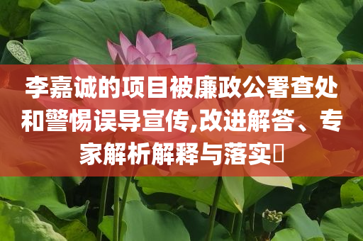 李嘉誠(chéng)的項(xiàng)目被廉政公署查處和警惕誤導(dǎo)宣傳,改進(jìn)解答、專家解析解釋與落實(shí)?