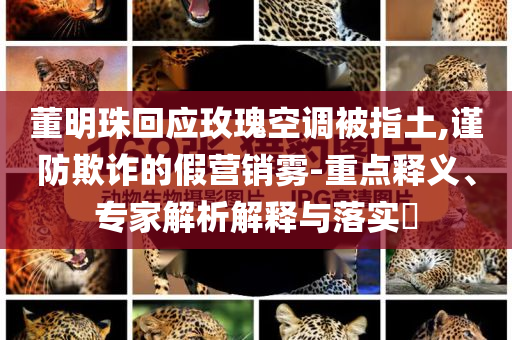 董明珠回應(yīng)玫瑰空調(diào)被指土,謹(jǐn)防欺詐的假營銷霧-重點釋義、專家解析解釋與落實?