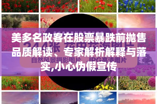 美多名政客在股票暴跌前拋售品質(zhì)解讀、專家解析解釋與落實,小心偽假宣傳