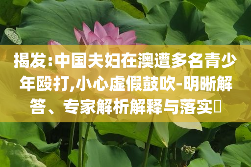 揭發(fā):中國夫婦在澳遭多名青少年毆打,小心虛假鼓吹-明晰解答、專家解析解釋與落實?