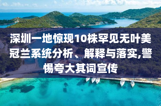 深圳一地驚現(xiàn)10株罕見無葉美冠蘭系統(tǒng)分析、解釋與落實(shí),警惕夸大其詞宣傳