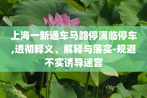 上海一新通車馬路停滿臨停車,透徹釋義、解釋與落實(shí)-規(guī)避不實(shí)誘導(dǎo)迷宮