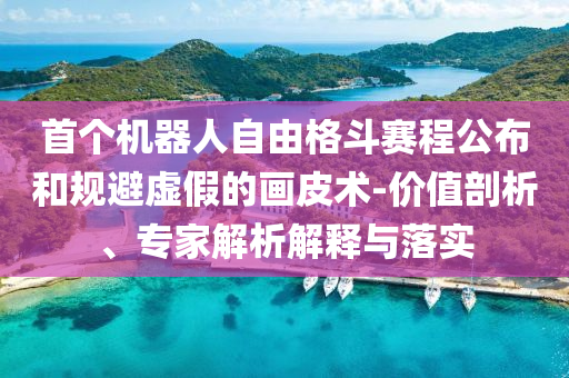 首個(gè)機(jī)器人自由格斗賽程公布和規(guī)避虛假的畫皮術(shù)-價(jià)值剖析、專家解析解釋與落實(shí)