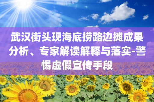 武漢街頭現(xiàn)海底撈路邊攤成果分析、專家解讀解釋與落實(shí)-警惕虛假宣傳手段