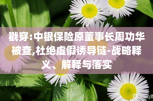 戳穿:中銀保險原董事長周功華被查,杜絕虛假誘導(dǎo)鏈-戰(zhàn)略釋義、解釋與落實