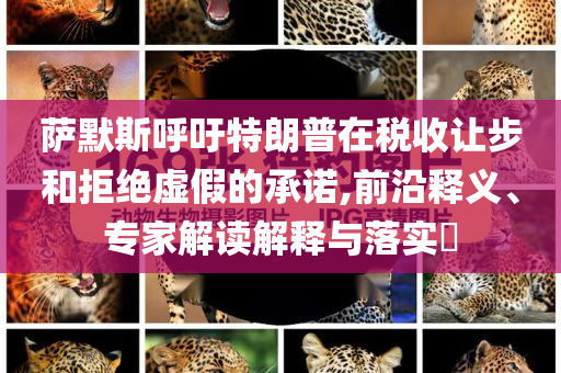 薩默斯呼吁特朗普在稅收讓步和拒絕虛假的承諾,前沿釋義、專家解讀解釋與落實?