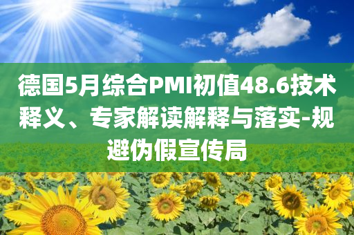 德國5月綜合PMI初值48.6技術(shù)釋義、專家解讀解釋與落實-規(guī)避偽假宣傳局