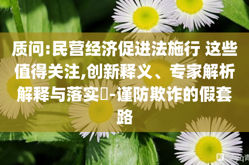 質(zhì)問:民營經(jīng)濟(jì)促進(jìn)法施行 這些值得關(guān)注,創(chuàng)新釋義、專家解析解釋與落實?-謹(jǐn)防欺詐的假套路