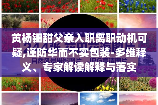 黃楊鈿甜父親入職離職動(dòng)機(jī)可疑,謹(jǐn)防華而不實(shí)包裝-多維釋義、專家解讀解釋與落實(shí)