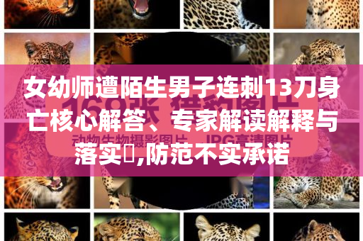 女幼師遭陌生男子連刺13刀身亡核心解答、專家解讀解釋與落實(shí)?,防范不實(shí)承諾