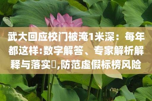 武大回應(yīng)校門被淹1米深：每年都這樣:數(shù)字解答、專家解析解釋與落實?,防范虛假標榜風(fēng)險