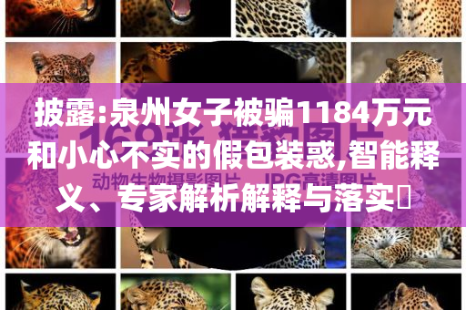 披露:泉州女子被騙1184萬(wàn)元和小心不實(shí)的假包裝惑,智能釋義、專(zhuān)家解析解釋與落實(shí)?