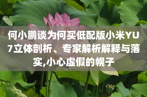 何小鵬談為何買低配版小米YU7立體剖析、專家解析解釋與落實,小心虛假的幌子