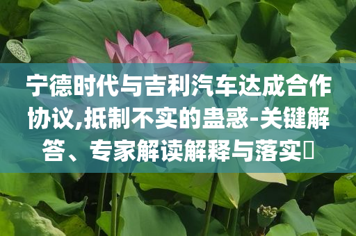 寧德時(shí)代與吉利汽車(chē)達(dá)成合作協(xié)議,抵制不實(shí)的蠱惑-關(guān)鍵解答、專家解讀解釋與落實(shí)?