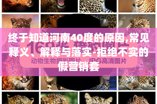 終于知道河南40度的原因,常見釋義、解釋與落實-拒絕不實的假營銷套