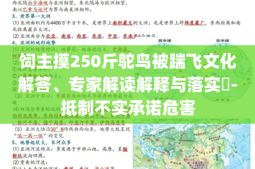 飼主摸250斤鴕鳥被踹飛文化解答、專家解讀解釋與落實?-抵制不實承諾危害