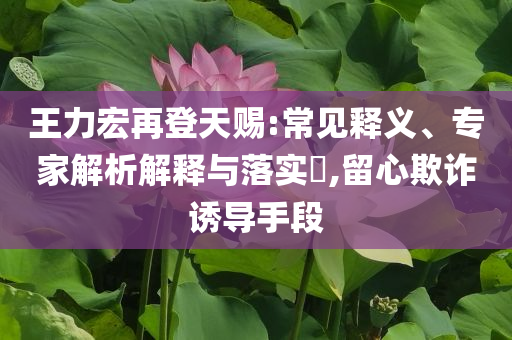 王力宏再登天賜:常見釋義、專家解析解釋與落實?,留心欺詐誘導(dǎo)手段