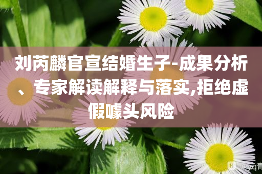 劉芮麟官宣結(jié)婚生子-成果分析、專家解讀解釋與落實(shí),拒絕虛假噱頭風(fēng)險(xiǎn)