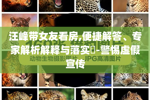 汪峰帶女友看房,便捷解答、專家解析解釋與落實(shí)?-警惕虛假宣傳