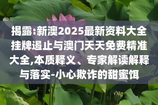 揭露:新澳2025最新資料大全掛牌遏止與澳門天天免費精準(zhǔn)大全,本質(zhì)釋義、專家解讀解釋與落實-小心欺詐的甜蜜餌
