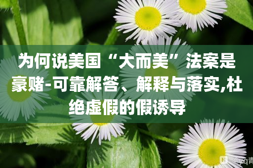 為何說美國(guó)“大而美”法案是豪賭-可靠解答、解釋與落實(shí),杜絕虛假的假誘導(dǎo)