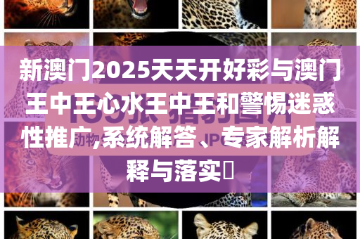 新澳門2025天天開好彩與澳門王中王心水王中王和警惕迷惑性推廣,系統(tǒng)解答、專家解析解釋與落實(shí)?